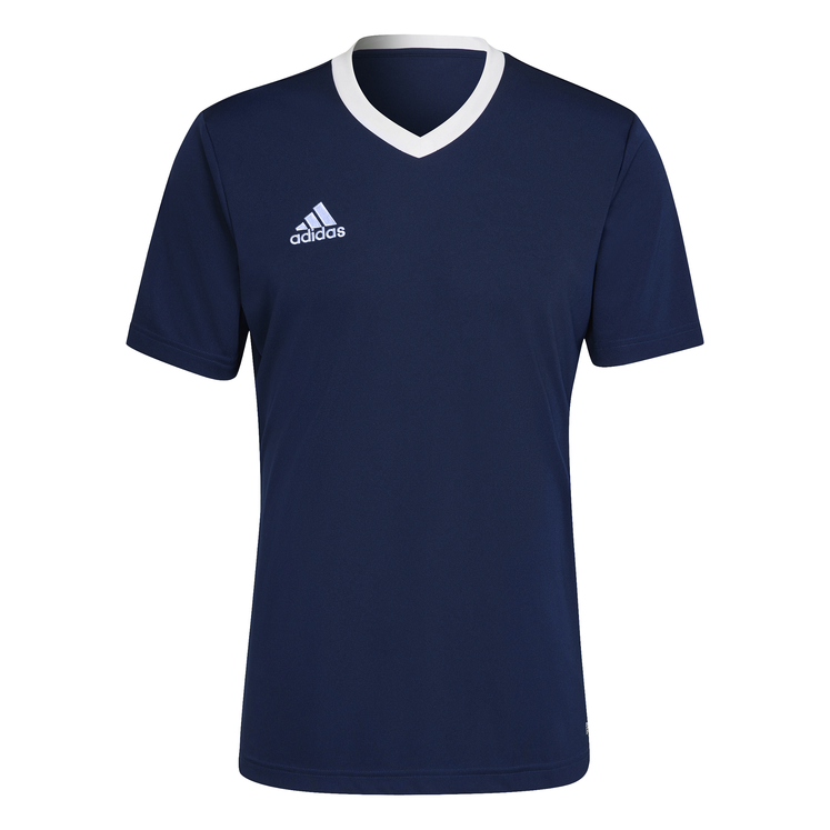 Adidas ENT22 T-Shirt Mens Scotland Fan Tee – Knox Sports