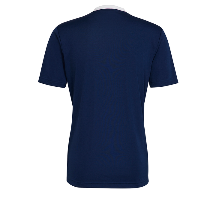Adidas ENT22 T-Shirt Mens Scotland Fan Tee