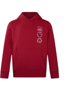Canterbury Boys Large Logo Hoody