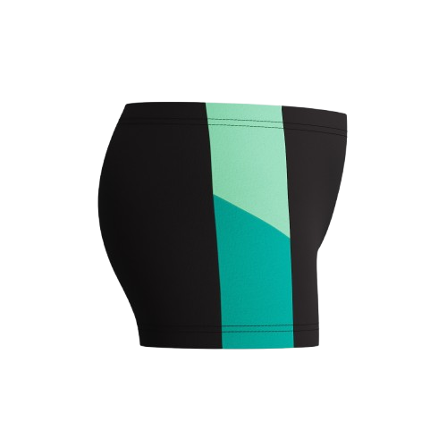 SPEEDO DIVE AQUASHORT