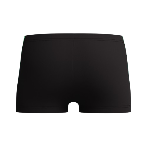 SPEEDO DIVE AQUASHORT