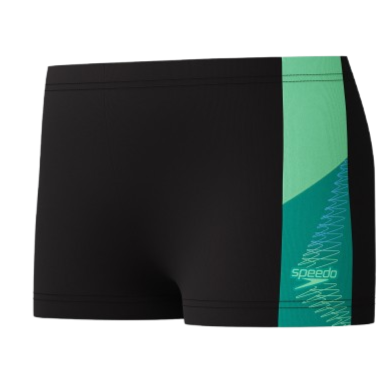 SPEEDO DIVE AQUASHORT