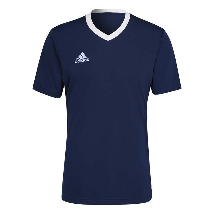 Adidas ENT22 T-Shirt Mens Scotland Fan Tee