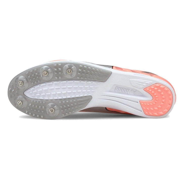 Puma Ladies Distance Evospeed