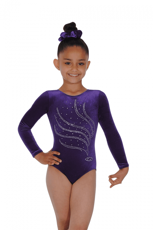 Zone Tiara Long Sleeve Leotard